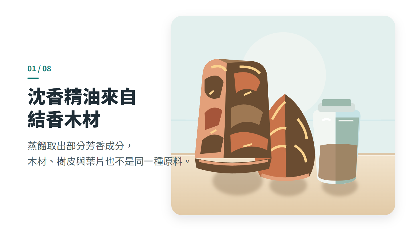 沈香精油來自 結香木材