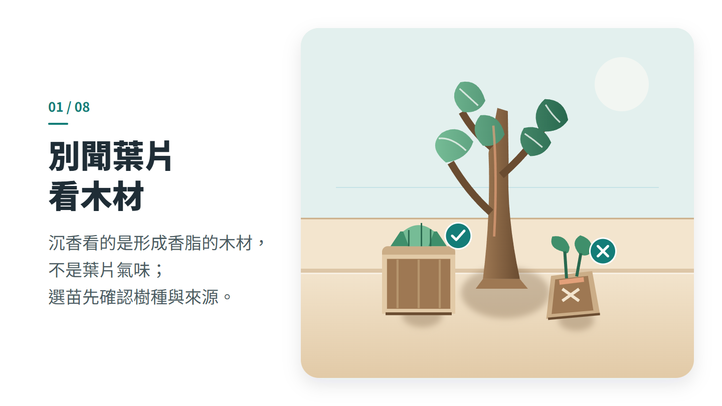 別聞葉片 看木材