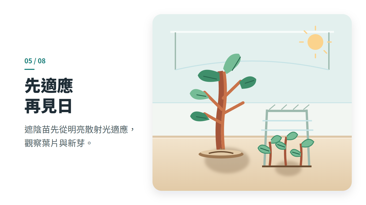 先適應 再見日