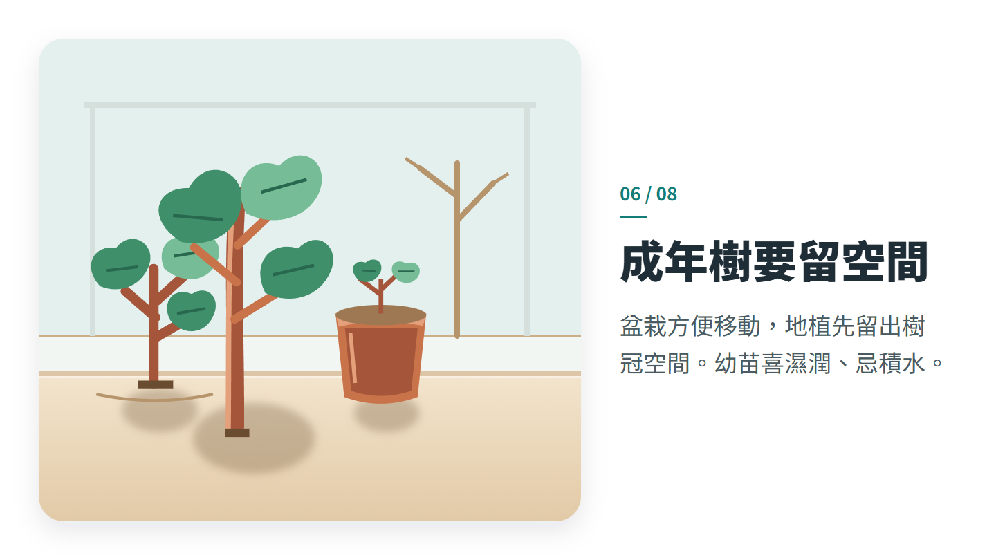 成年樹要留空間