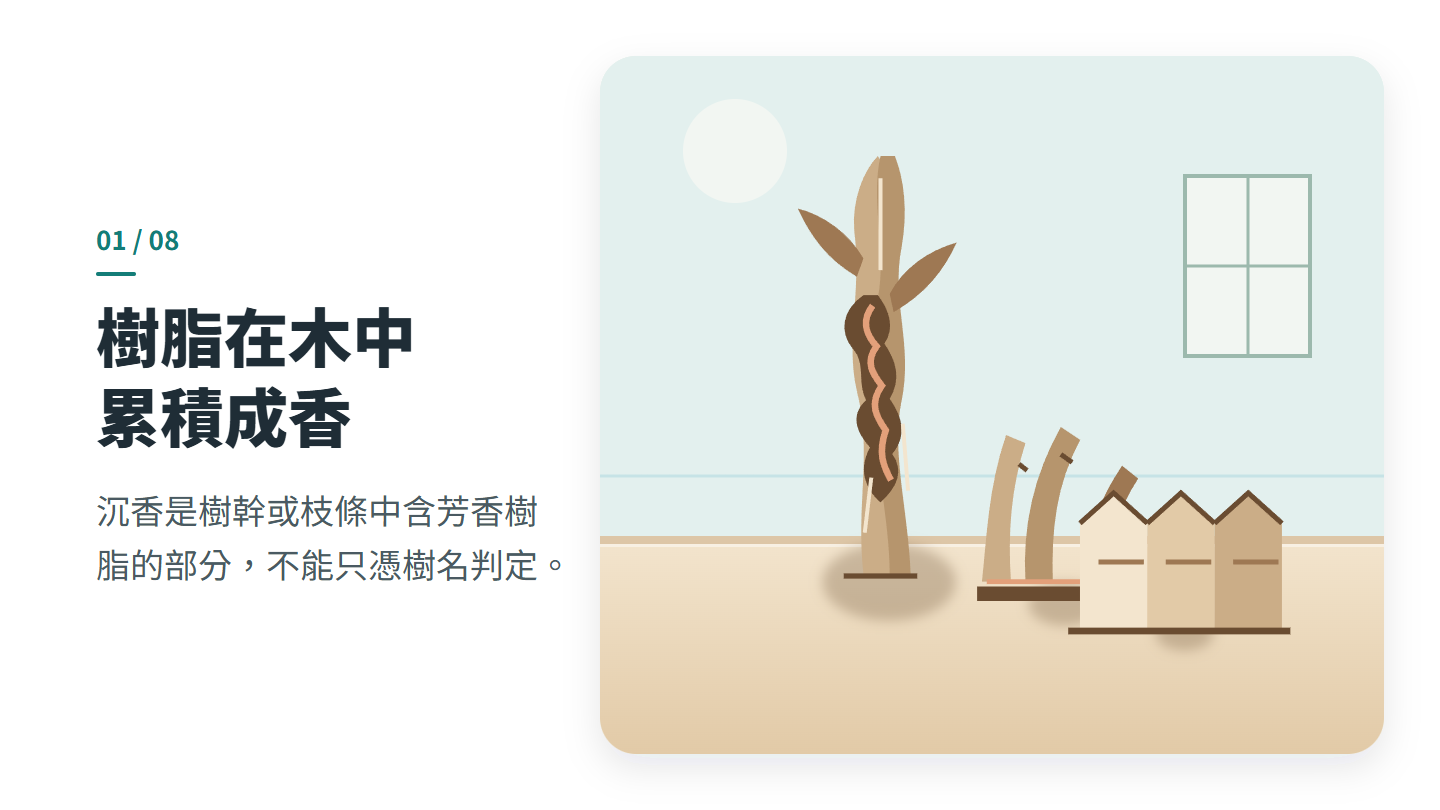 樹脂在木中 累積成香