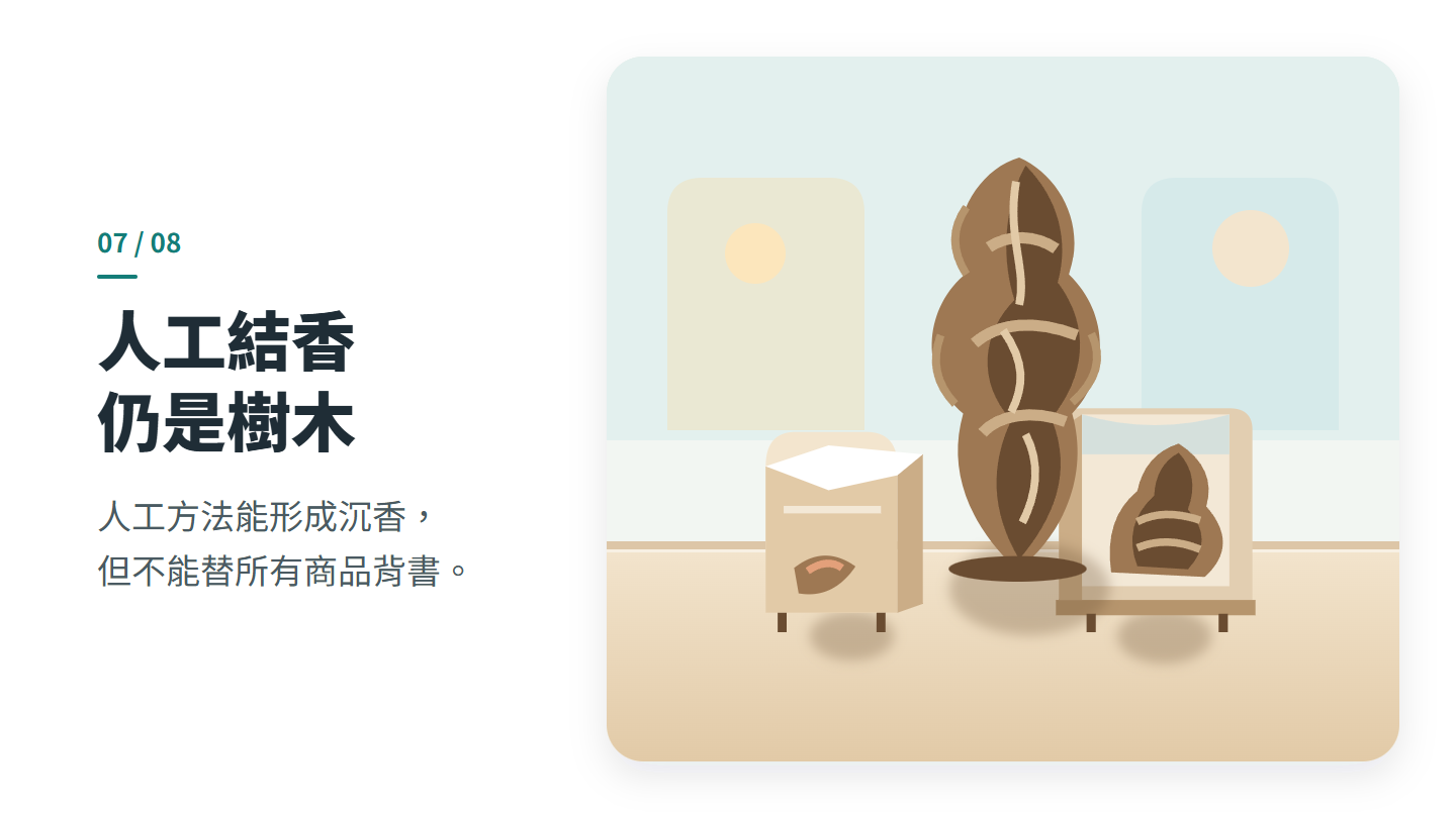 人工結香 仍是樹木